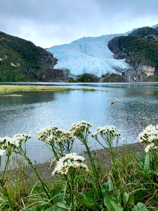 Another beautiful glacier 