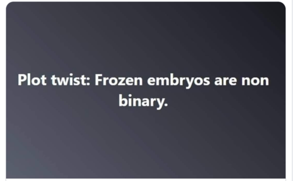 Ladies, harvest your eggs in Alabama. Harvest as many eggs as you can.
Request SSNs for them.
Come tax time, claim them all as dependents.