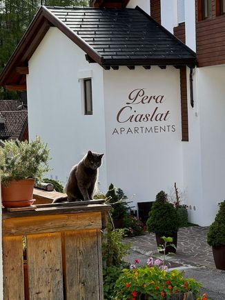 Our nextdoor neighbor