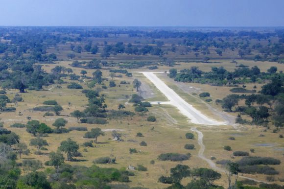 Our airport in the Okavango Delta 