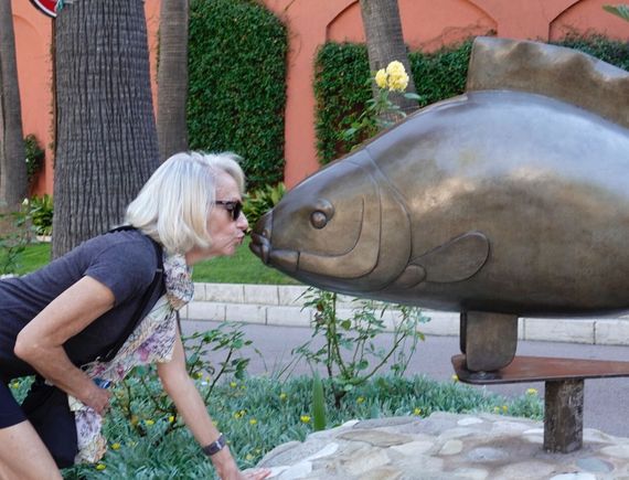 No frog was available 