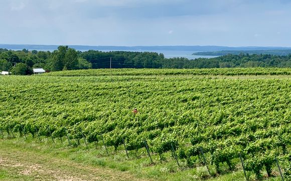 Winery #1 of 3 outside Traverse City 