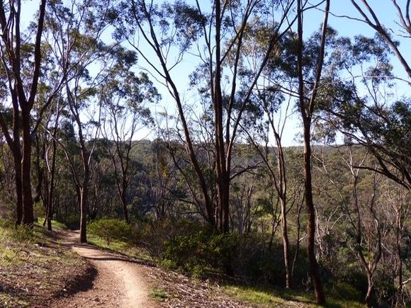 Nice day, nice trees