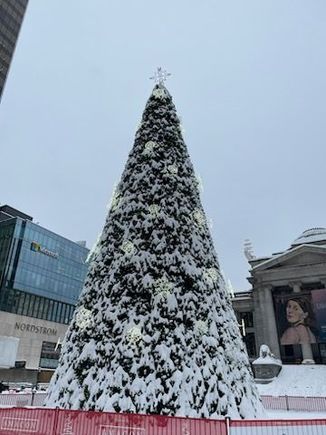 Snowy Christmas tree