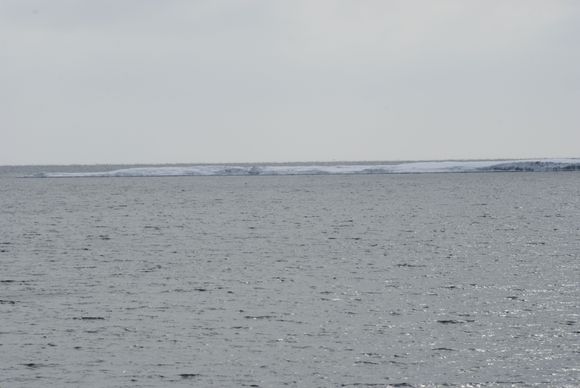 5 mile Island, usually rocks but today ice and snow covered. Lots of gulls and some ducks hanging around the island.