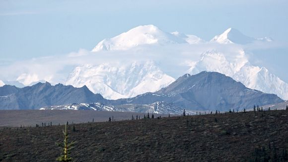 From the road in Denali NP,  with a telephoto lens