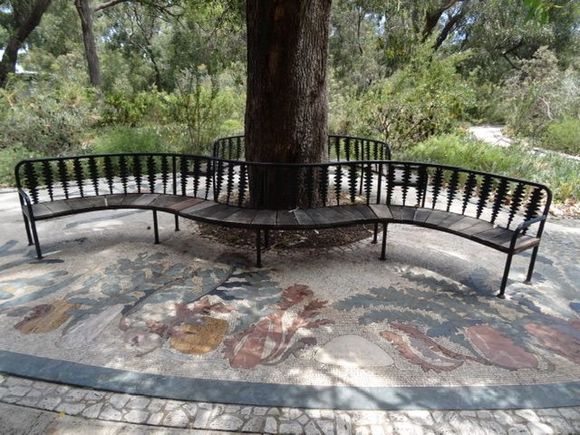 Incredible mosaic of banksias 