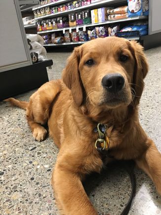 Molly is not amused by your dog comments, Tom. 