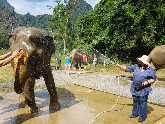 Elephant Hills Elephant Sanctuary (c) K Favelle 