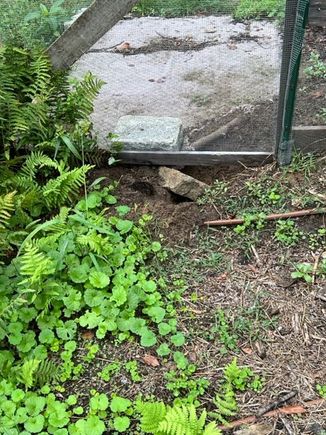 Highway to heave for some critter!
