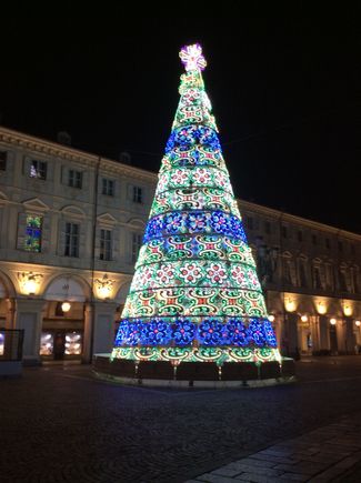 Another beautiful tree in Turin, Italy.