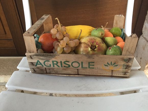 Our airbnb left fruit at the door, all picked on their farm.