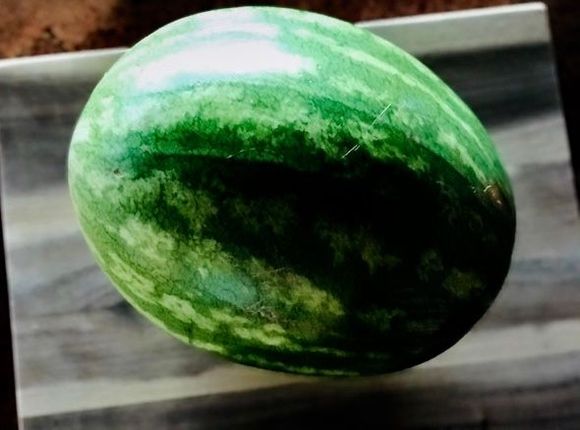 Been patiently waiting for the right time to slice open