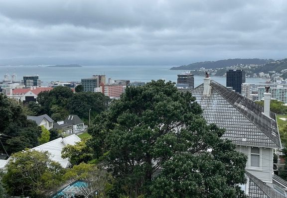 Views of the city and harbor from the top of the hill