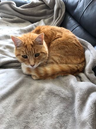 Didn't appreciate being woken up!
