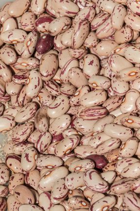 Beans. There was also an intriguing pure-white variety.