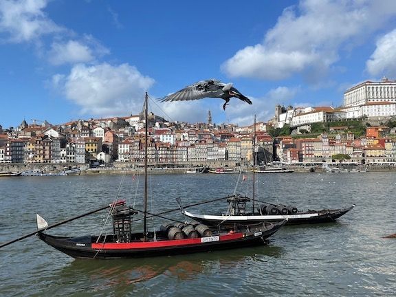 The good - please excuse the seagull photobomb