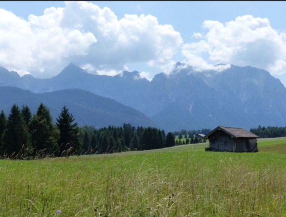 This was taken from that walk you recommended over the buckelwiesen, swandav, so beautiful.
Thanks for chiming in, too, Mel, I seem to be following in your footsteps!  
