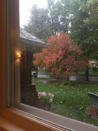 Hard to see the snow, but it is snowing. (I love snow.)