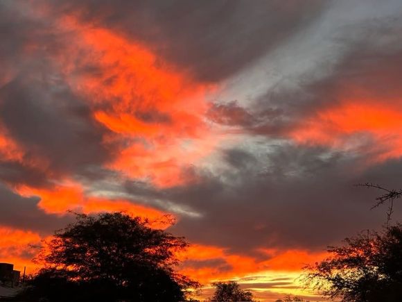 From the front yard.