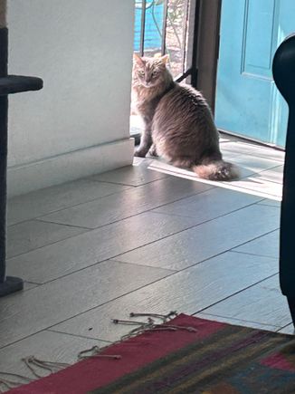 Finally some photos. 