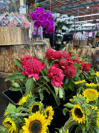 Purple orchids and yellow sunflowers. I don't know what the red flowers are but I love red! So colorful!