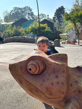 He got to climb on a lizard yesterday.