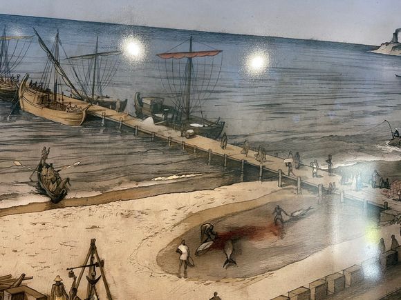 Breaking down the large tuna.