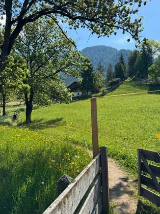 The Santa Maddalena Trail - part of the trail is a narrow path through a farm