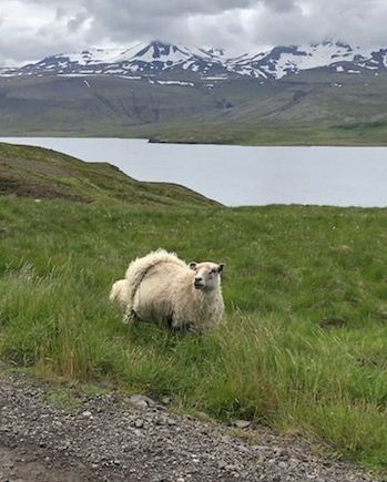 Somewhere along the road