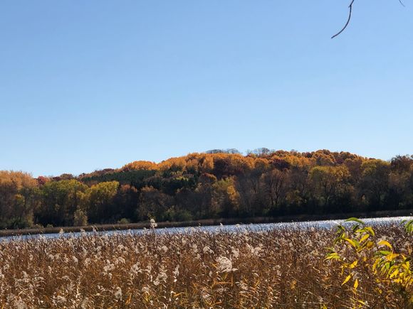 ordinary view of a lake aptly named Mud Lake with a splash of fall color.