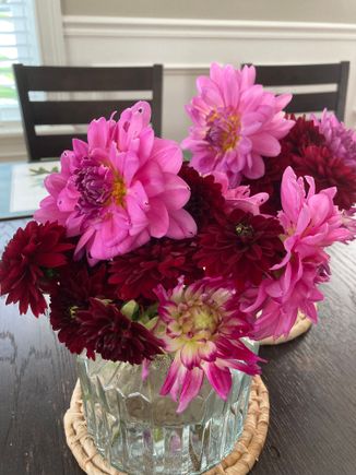 The only things that grew really well this year are the dahlias 