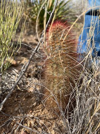 Be careful where you step.