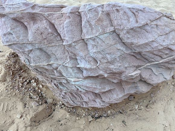 Almost looks like a spider web.