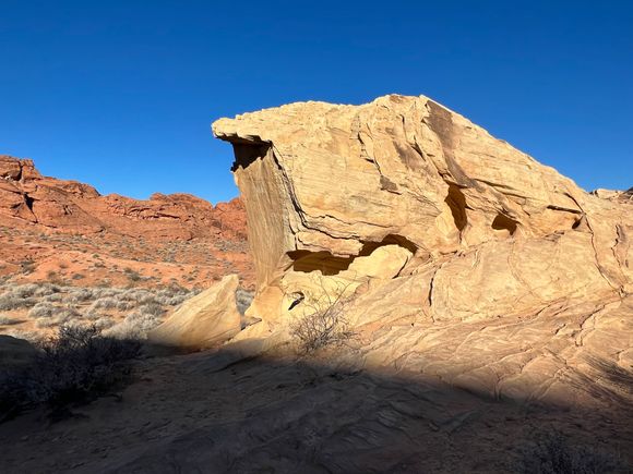 White Dome Loop, the only trail I walked.