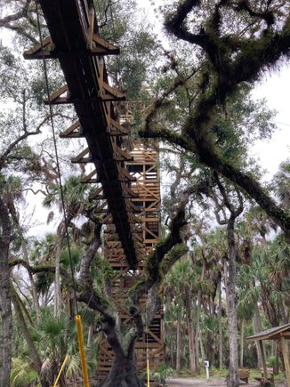 Looking up at canopy walkway. Our stair walking finally came in handy- it was so easy climbing the stairs to the walkway!