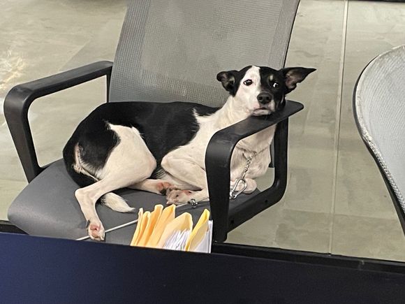 This guy loved it though!