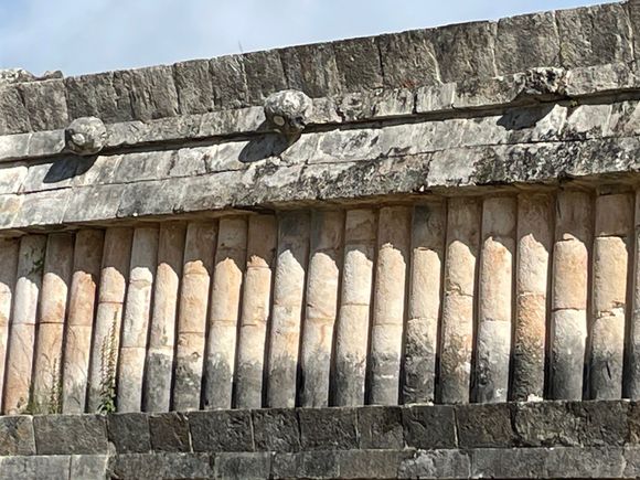 House of the Turtles