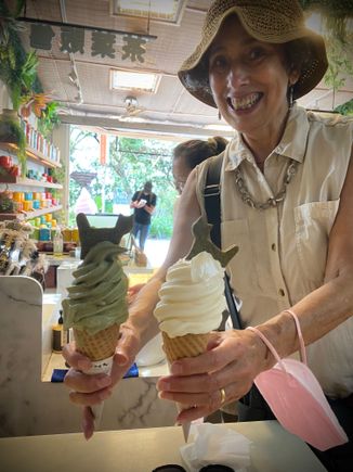 Vanilla and Green Tea ice cream