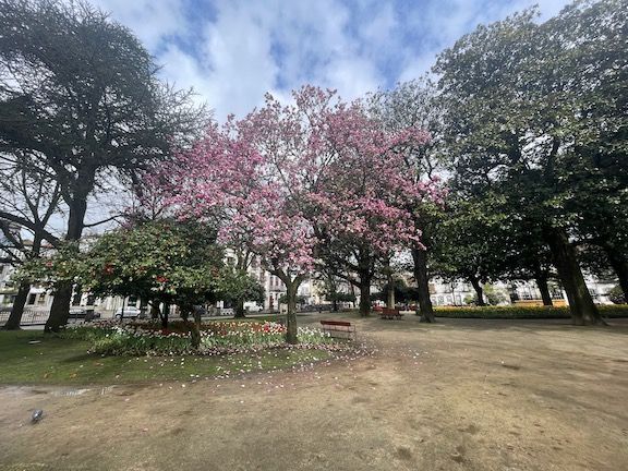 A walk through Jardim Marques de Oliveira, where the trees and flowers were starting to bloom.
