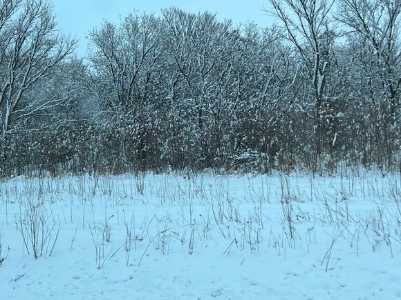 some snowy photos for those that never have to shovel the stuff.