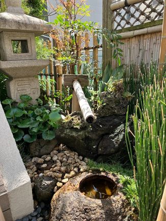 Yanaka - residential garden