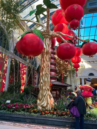 a pomegranate tree. (fake, like most Las Vegas eye candy)