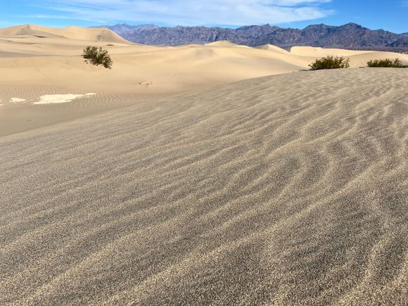 Mesquite Flat Sand Dunes