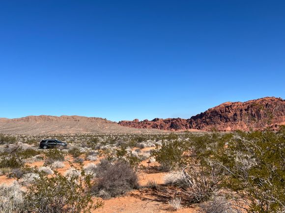 I love the contrasting colors.