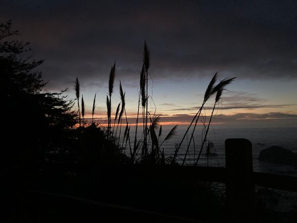 Another from Trinidad, CA