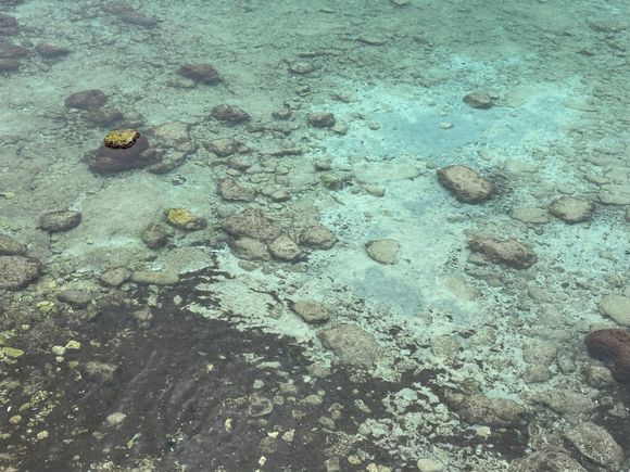 I could blow this up and hang on my wall