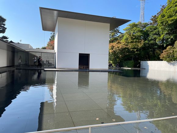 But the back exterior - perfection