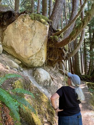 Are you sure this rock is going to stay there?