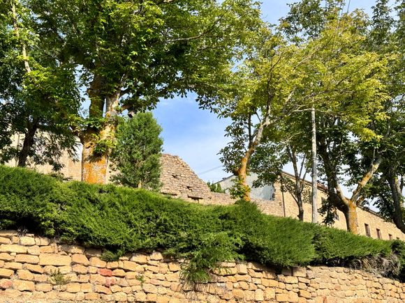The town with its stone walls.